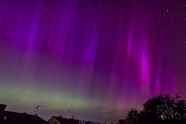 Free Northern Lights Purple photo and picture