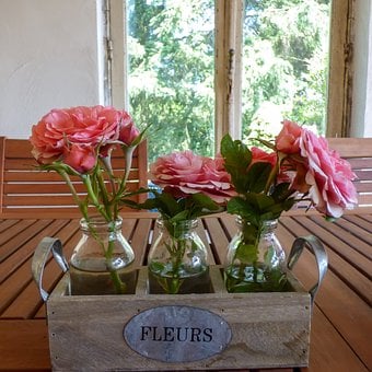 Roser, Blomster, Natur, Vaser, Træ