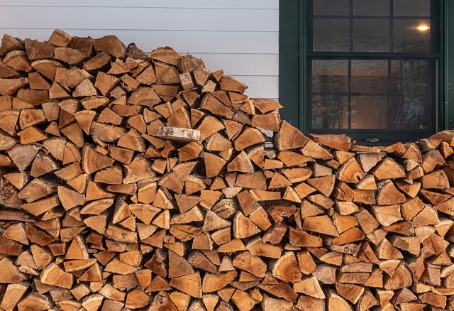 Free Wood Logs photo and picture
