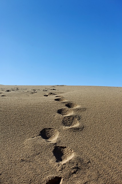 Free Footprint Sand photo and picture