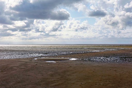 Pobřeží, Moře, Pláž, Písek, Horizont