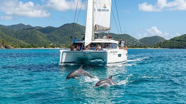 Catamarã, Golfinho, Mar, Oceano, Veleiro