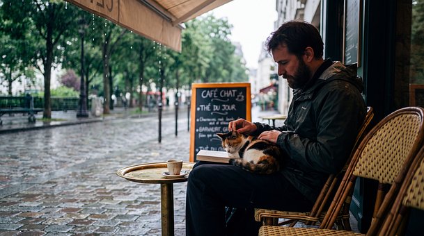 Free Man Cat photo and picture
