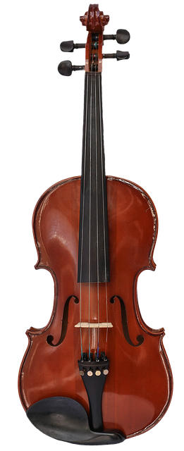 Fiolin, Musikkinstrument, Bue, Strenger