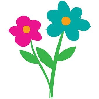 Blomster, Illustration, Pink, Blå, Gul