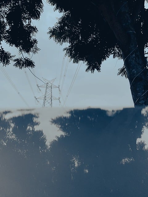 Free Power Line Water Reflection photo and picture