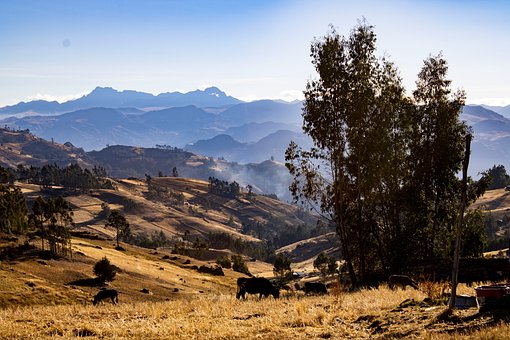 Free Nature Mountains photo and picture