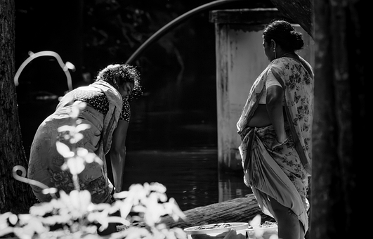 Blanco Y Negro, Mujeres, Bosque