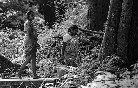 Mujeres, Blanco Y Negro, Bosque