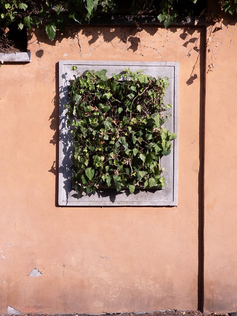 Parede Verde, Gesso