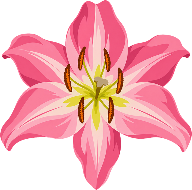 Free pink lily flower lilium vector