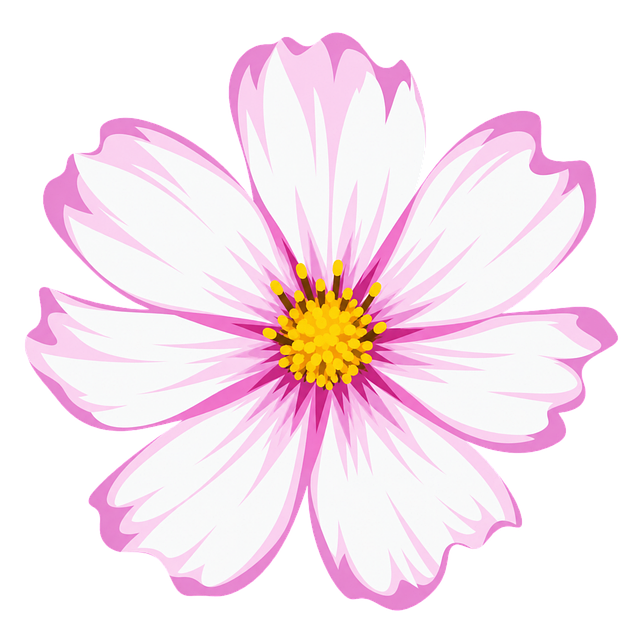 Cosmos Rosa, Flor De Cosmos