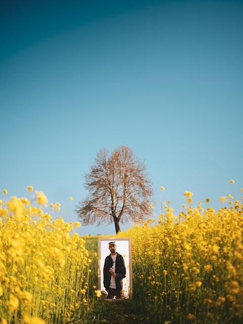 Free Nature Mirror photo and picture