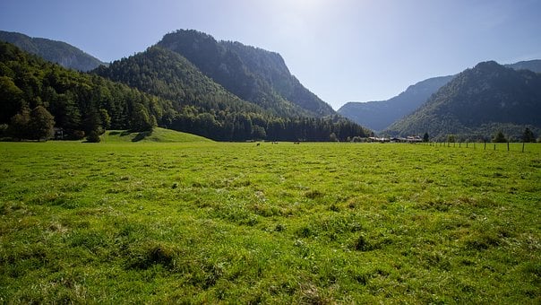 Montañas, Pradera, Bosque, Panorama