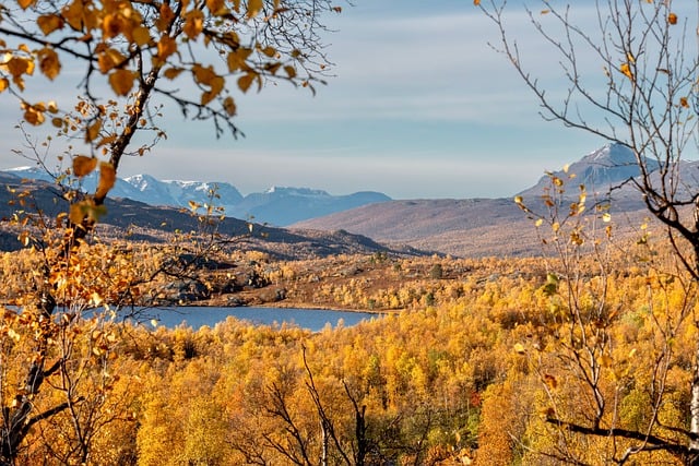 Free Autumn Landscape Autumn Forest photo and picture