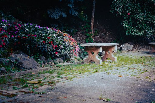 Bank, Tuin, Beton, Natuur, Bloemen
