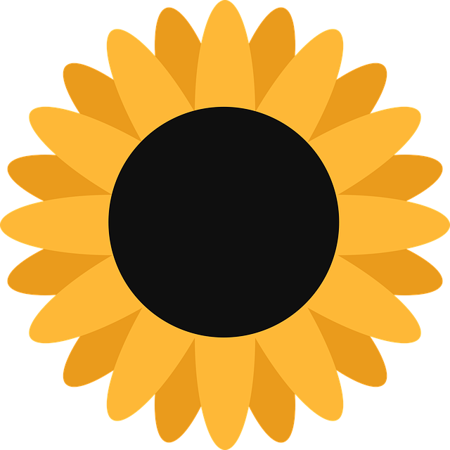 Free sunflower yellow flower vector