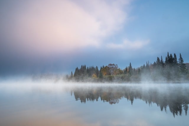 Tremurând, Toamnă, Ceaţă, Natura, Lac