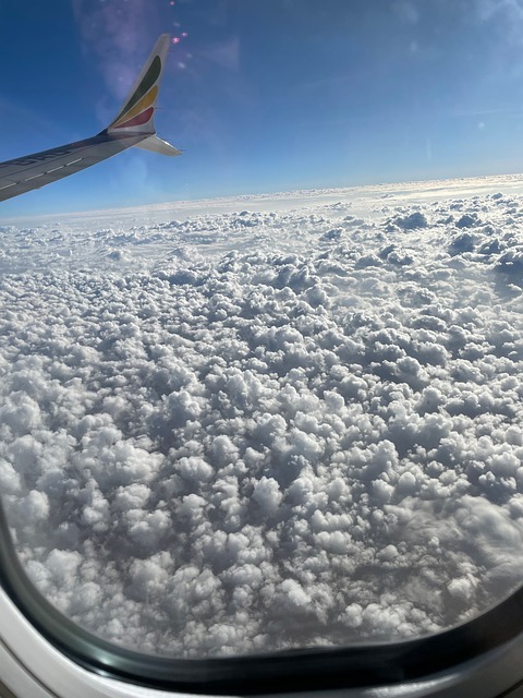 Fly, Vindue, Vinge, Skyer, Blå Himmel