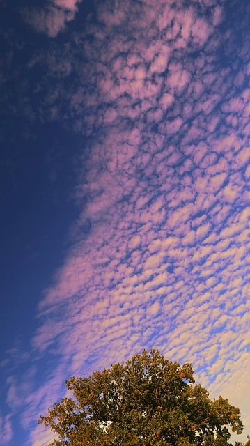 Free Sky Clouds photo and picture