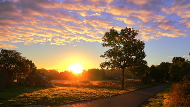 Free Sunrise Tree photo and picture