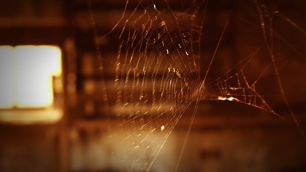 Free Cobweb Old Window photo and picture