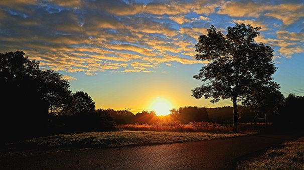 Free Sunrise Nature photo and picture