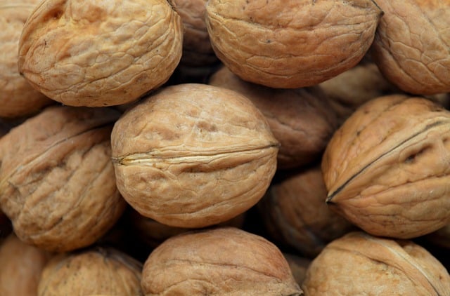 Free Walnuts Nut photo and picture