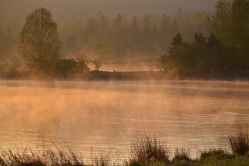 Iazul, Abur, Copac, Răsărit, Natura