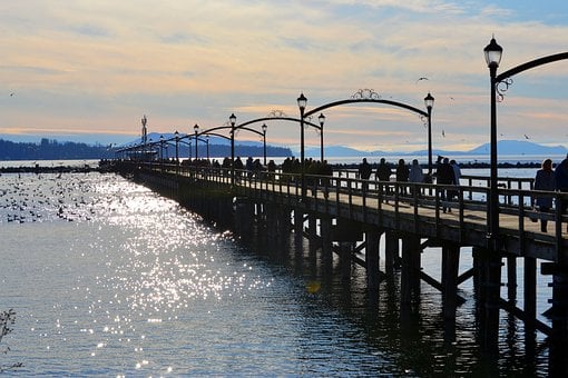 Ocean, Debarcader, White Rock