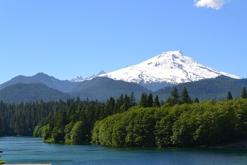 Munte, Monte Brutar, Copaci, Natura, Râu