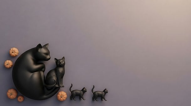 Černá Kočka, Dýně, Halloween