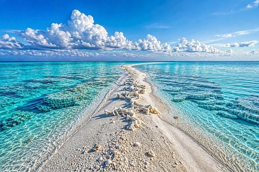 海洋, 海滩, 沙子, 路径, 珊瑚, 地平线, 自然, 云, 天蓝色, 清澈