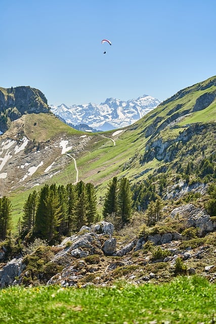 Paraglider, Alpen, Landschap, Bergen