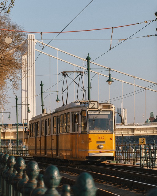Gele Tram, Openbaar Vervoer, Trambanen