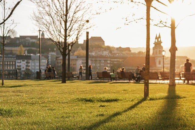 Stadspark, Gouden Uur, Middaglicht