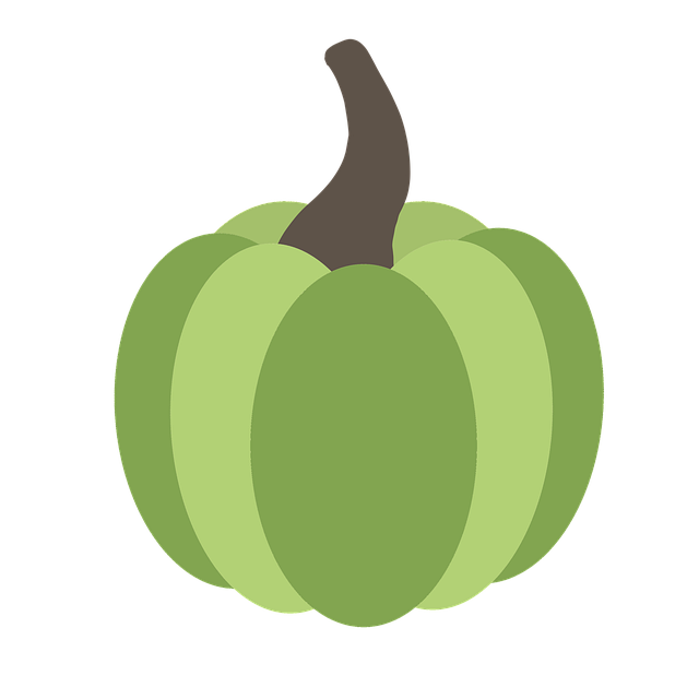 Free pumpkin green simple design illustration