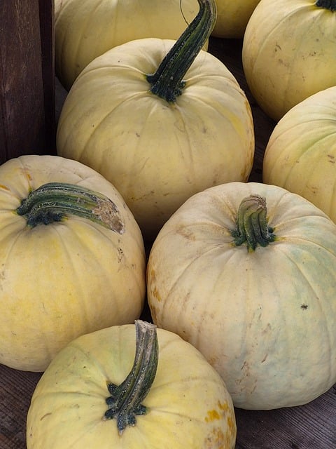 Kürbis, Ernte, Natur, Herbst, Gelb