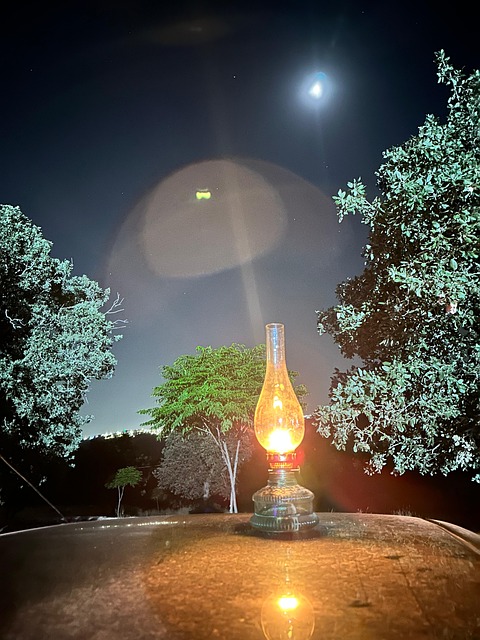 Petroleumlampen, Wald Bei Nacht