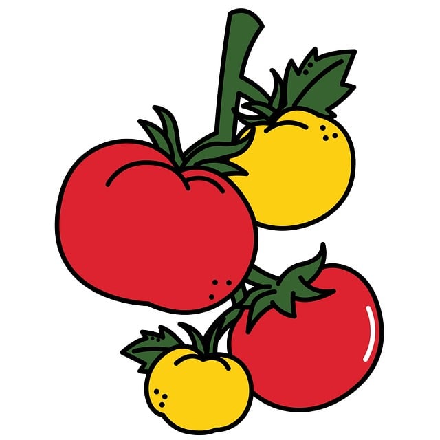 Tomate, Tomate Amarillo, Tomate Rojo