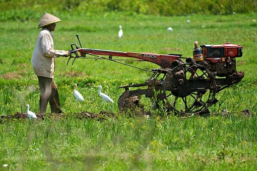 Boer, Landbouw, Tractor, Boerderij