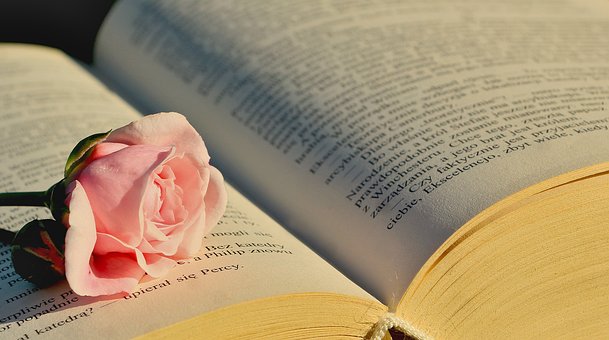 Rose, Offenes Buch, Literatur