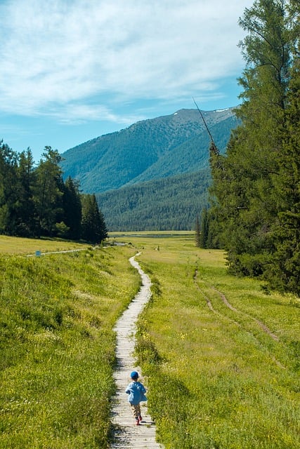 Free Child Wooden Boardwalk photo and picture