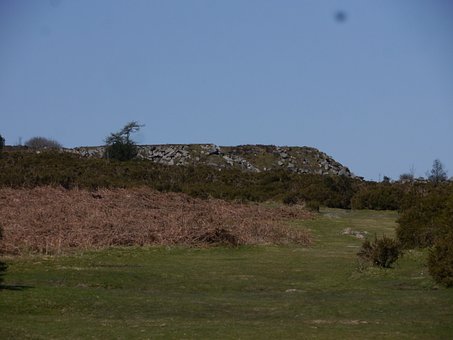 Peisaj, Natură, Dartmoor, Devon