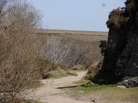 Peisaj, Natură, Dartmoor, Devon