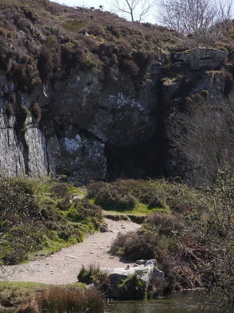 Peisaj, Natură, Dartmoor, Devon