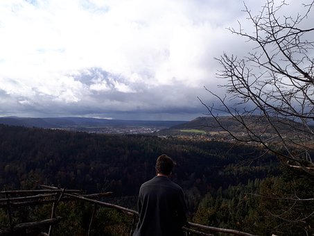 Kalmte, Man, Uitzicht, Hout, Bos, Lucht
