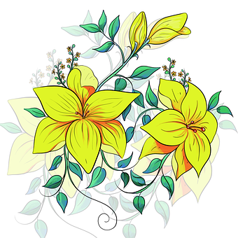 花, 自然, 艺术, 设计, 图案, 颜色, 多彩, Photoshop, 布料