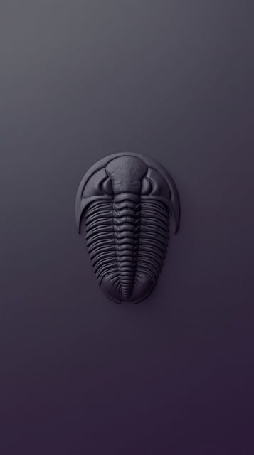 Bakgrunn, Fossil, Trilobitt, Lilla