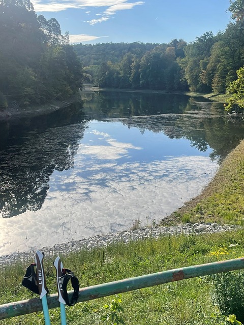 Free Nordic Walking Trekking Poles photo and picture